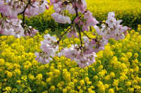 03-2025033100477.jpg (131171 �o�C�g)