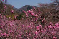 04-2025040500532.jpg (137592 �o�C�g)