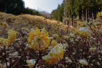 04-2025040500590.jpg (90367 �o�C�g)