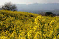 04-2025041200789-1.jpg (100794 バイト)