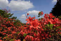 05-2025042400903.jpg (114243 �o�C�g)