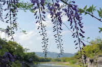 05-2025042400946.jpg (224087 �o�C�g)