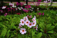 05-2025061301015.jpg (87001 バイト)