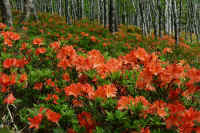 06-2025061801095.jpg (155909 �o�C�g)