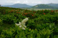 06-2025061901223.jpg (84918 バイト)