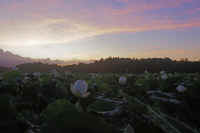 07-2025071809145.jpg (51274 �o�C�g)