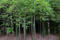 07-2025072501611.jpg (164517 バイト)