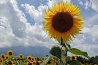 08-2025080801669.jpg (80504 �o�C�g)