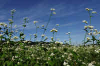 09-2025092602087.jpg (112044 バイト)