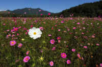 10-2025101702358.jpg (123407 �o�C�g)