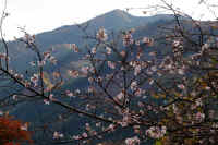 11-2025111402798.jpg (120380 �o�C�g)