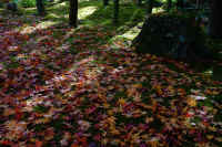 11-2025112603323.jpg (148504 バイト)