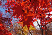 12-2025120703494.jpg (124681 �o�C�g)