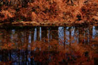 12-2025120703522.jpg (124464 �o�C�g)