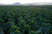 12-2025121609385.jpg (103847 バイト)