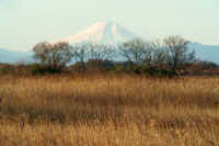 01-2009010200247-1.jpg (82892 �o�C�g)