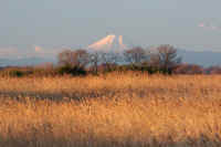 01-2012010700100-1.jpg (80711 バイト)