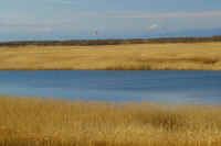 01-2019010603823-1.jpg (66385 �o�C�g)