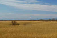 01-2019010603828-1.jpg (61553 �o�C�g)