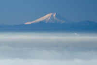 01-2021011302274-1.jpg (32301 �o�C�g)