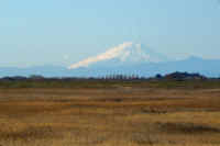 01-2022011304760-1.jpg (58151 バイト)