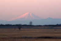 02-2012020300579-1.jpg (40219 バイト)