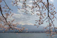 04-2022041208243-1.jpg (109030 バイト)