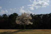 04-2022041208251-1.jpg (66125 �o�C�g)