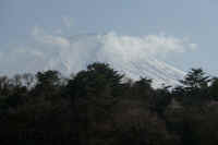 04-2022041208266-1.jpg (52459 バイト)