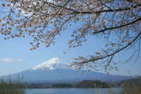 04-2023040307187-1.jpg (122986 �o�C�g)