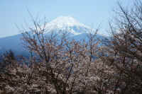 04-2023040307210-1.jpg (147800 バイト)