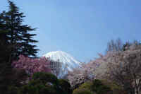 05-2005042409800.jpg (68991 バイト)