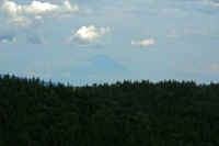 07-2023073103887-1-1-1.jpg (44608 バイト)