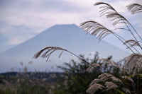 09-2007100707800-1.jpg (61946 �o�C�g)