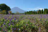 09-2022092609897-1.jpg (139139 バイト)