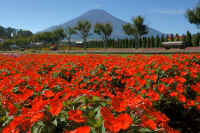 09-2022092609917-1-1.jpg (304068 バイト)