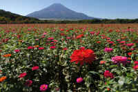 10-2025101702343-1-1.jpg (142201 バイト)