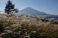 10-2025101702381-1.jpg (123937 �o�C�g)