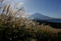 10-2025101702391-1.jpg (97967 �o�C�g)