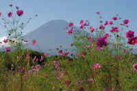 10-2025101702430-1.jpg (109773 バイト)