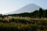 10-2025101702446-1.jpg (87385 �o�C�g)