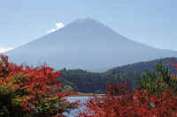 11-2023110805178-1-1.jpg (208306 �o�C�g)