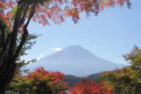 11-2023110805182-1.jpg (98553 �o�C�g)