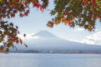 11-2023110805209-1-1.jpg (95435 �o�C�g)