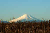 12-2009121906241-1.jpg (56903 バイト)