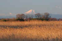 12-2012010700100-1.jpg (75982 �o�C�g)