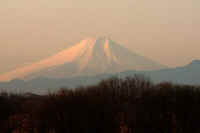 12-2012122106765-1.jpg (39489 �o�C�g)