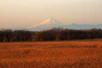 12-2012122106768-1.jpg (71859 バイト)