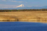 12-2016121503667-1.jpg (124059 �o�C�g)