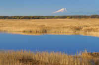 12-2017120608186-1.jpg (72146 �o�C�g)